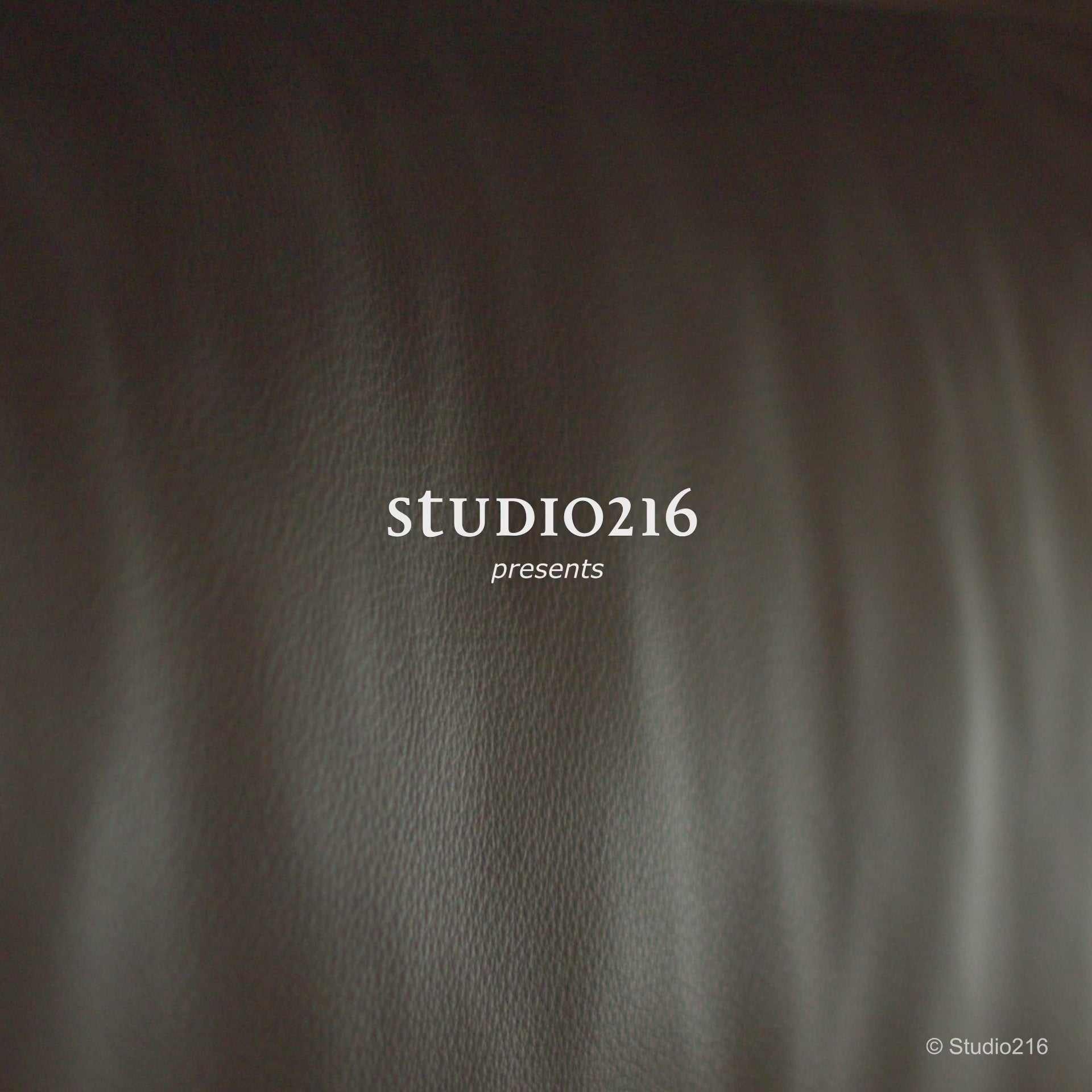 Adda Maxi Leather Sofa