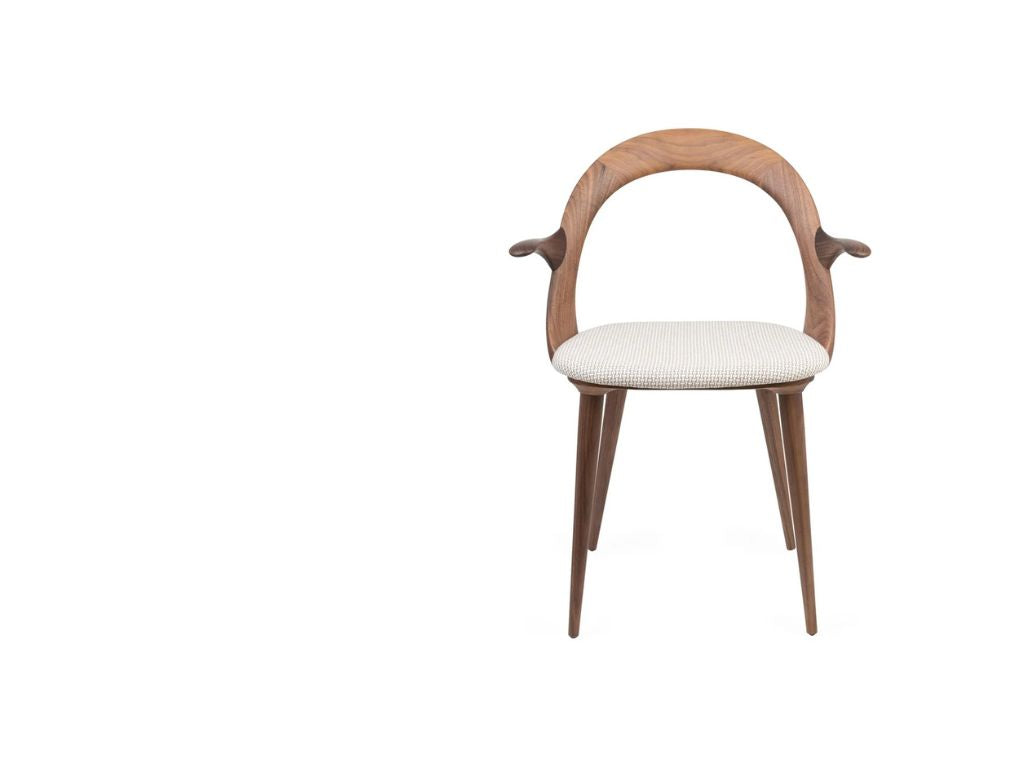 Ester Armrest Chair