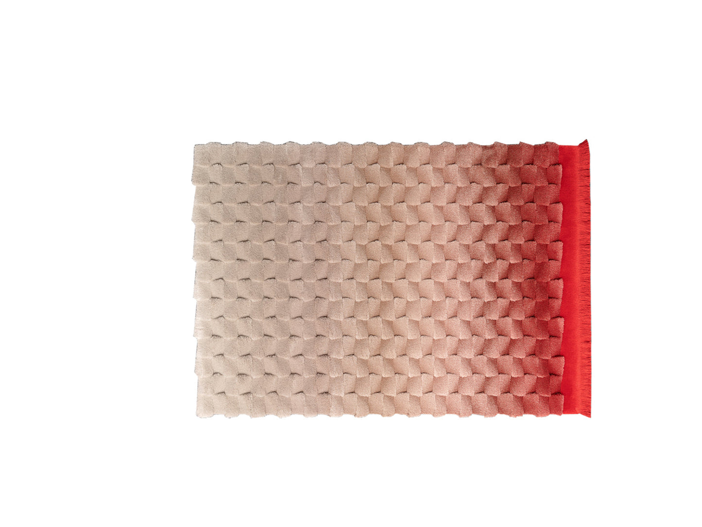 Rocktail 3-D Hand-Tufted Rug